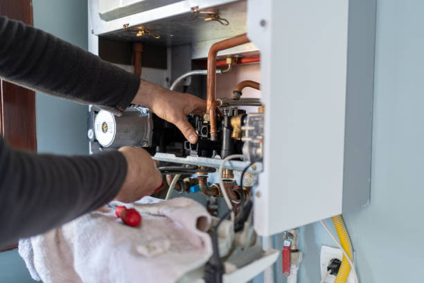 Best Clogged Drain Plumber  in Eslon, CA
